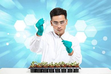 《塞尔达传说：王国之泪》新玩法将为海拉鲁带来改变